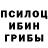 Псилоцибиновые грибы Psilocybe fuhx