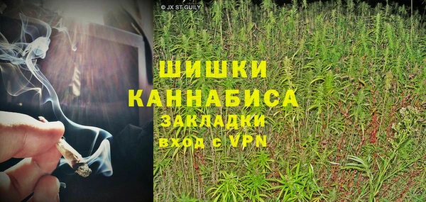 дурь Алзамай
