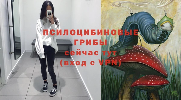 соль курить ск Алексин