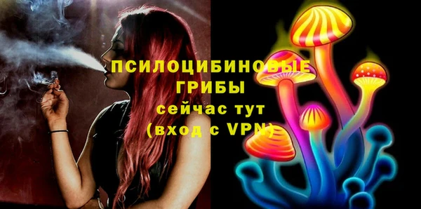 дурь Алзамай