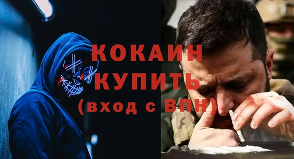 дурь Алзамай