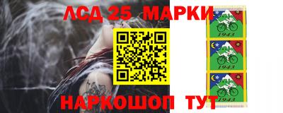 гидропоника Тара