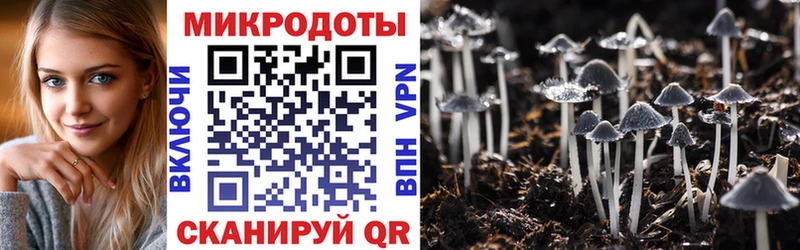 Псилоцибиновые грибы прущие грибы  цены   Полевской 